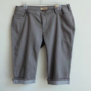 Hybrid & Company Stretchy Denim Capri